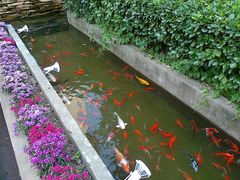 -老洋房花园饭店(绍兴路店)