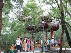 -金鸡山公园