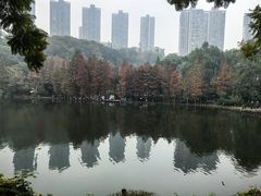 -重庆彩云湖湿地公园