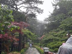 -庐山风景区花径公园