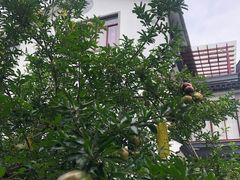 -雨花胜境