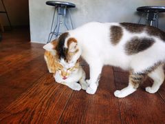 -251#coffee roasters(沿河东路店)