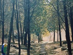 -北京鹫峰国家森林公园