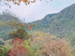 -塔川景区