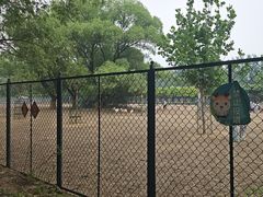 -北京麋鹿生态实验中心