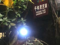 -呀诺达热带雨林