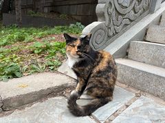 -沈阳辉山风景区