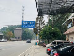 -稻香村鱼庄