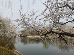 -国家植物园