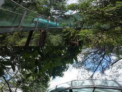 -龙井峡漂流
