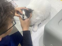 -佳雯宠物医院(金华南路分院)