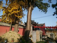 -活死人墓