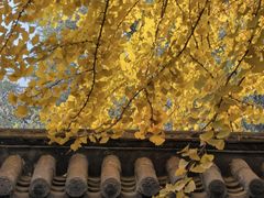 -长安寺