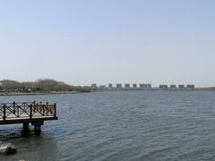 -丁香湖公园
