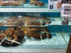 -盒马鲜生(枣园路店)