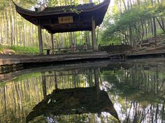 -西湖风景区十里琅珰-五云山