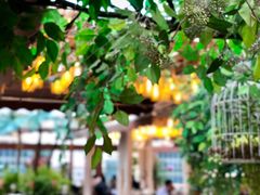 景观位-时光乌托邦空中花园餐厅川味·融合菜(幸福广场店)