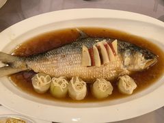 清蒸鲥鱼-上海老站(徐家汇店)