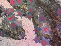 -沈阳海洋探索中心