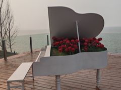 -观澜小洱海