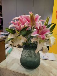 -FineYoga梵音瑜伽·普拉提