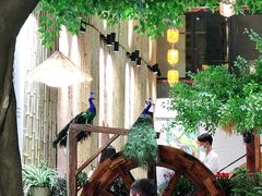 -大理董·董家小厨野生菌火锅(古城旗舰店)