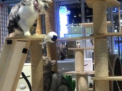 -小时光咖啡馆(开森度假森林店)