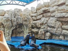 -华夏文旅海洋公园