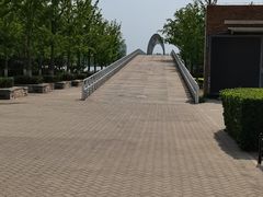 -大兴滨河森林公园