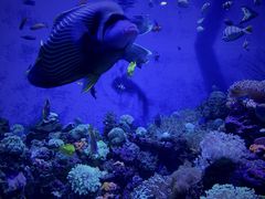 -成都浩海立方海洋公园