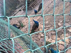 -南京金牛湖风景区