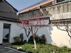 -范蠡湖公园