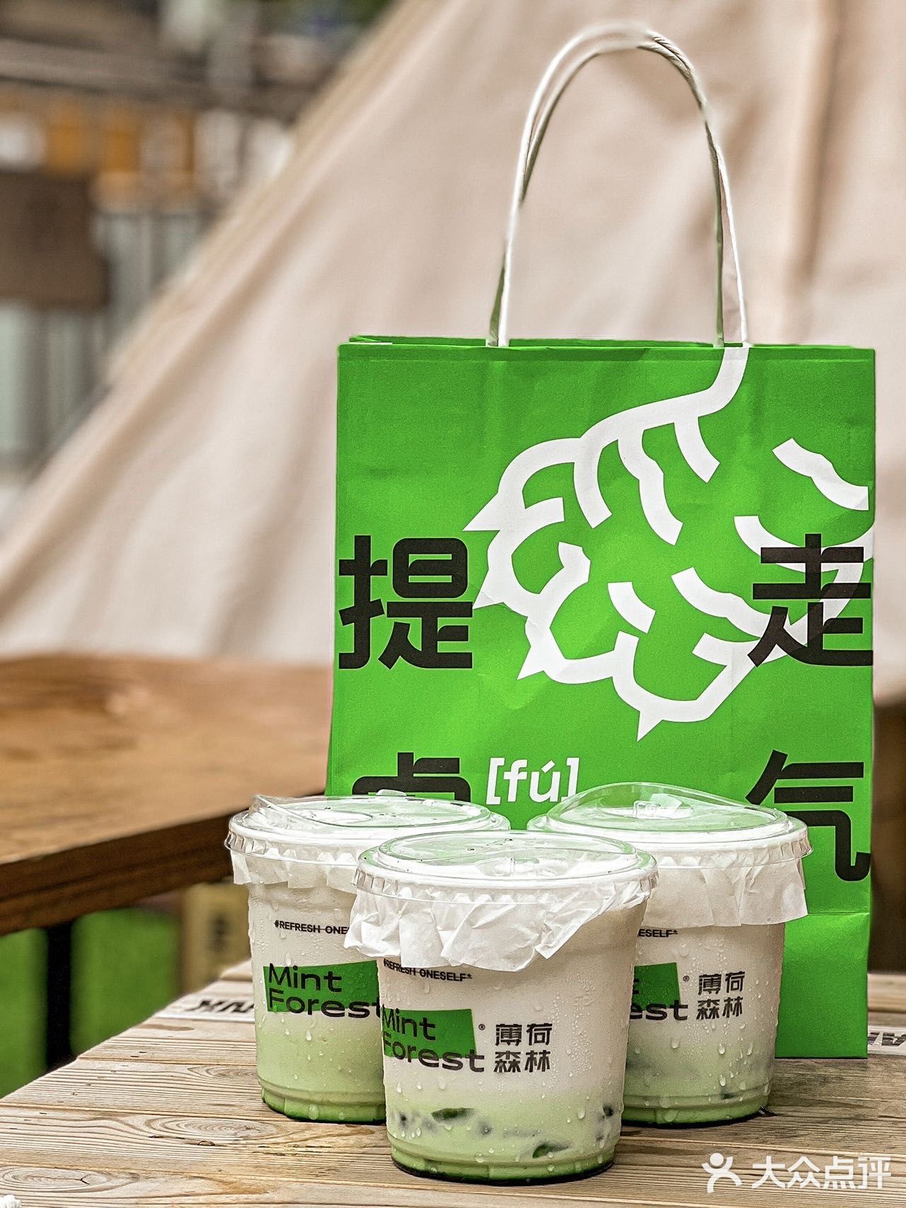 - 在成都旅游真的不要错过这家薄荷森林！