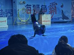 -邯郸海洋世界