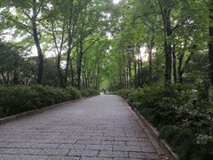 -杭州植物园