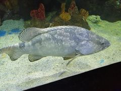 -石林冰雪海洋世界