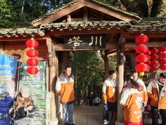 -塔川景区