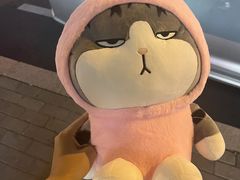 -PAWTOY爪e玩偶店(天兴罗斯福店)