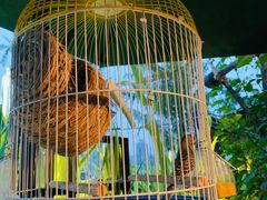 -胡桃里乐队酒馆(鎏嘉码头店)