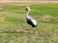 -沈阳森林动物园