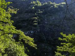 -大鄣山卧龙谷景区