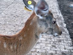 -郭记家常菜下水馆