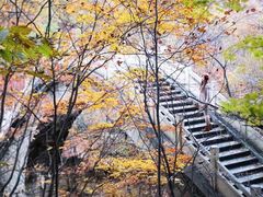 -丹东天桥沟景区