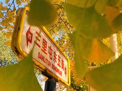-三里屯东五街银杏大道