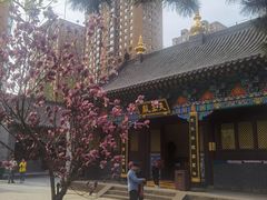 -护国法轮寺