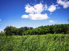 -大兴滨河森林公园