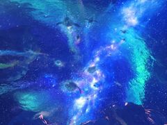 -海合安武汉极地海洋公园