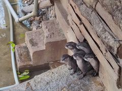 -昆明动物园