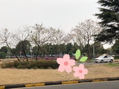-小昆山驾校·基地自营(松江大学城实体店)