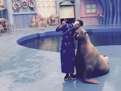 -华夏文旅海洋公园